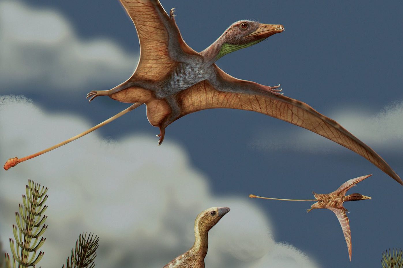 Реконструкция ландшафта позднего триасового периода примерно 215 миллионов лет назад. Лагерпетид, близкий родственник птерозавров, сидит на скале и наблюдает за пролетающими над головой птерозаврами.  / © Matheus Fernandes