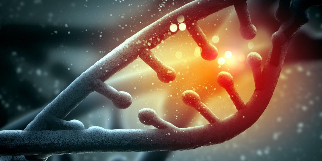 ©Wikipedia / Автор: Ольга Кузьмина