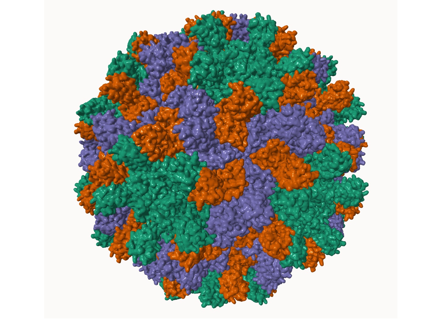 Вирус морщинистости турнепса, (TCV), 3D-модель / © virus-world.org