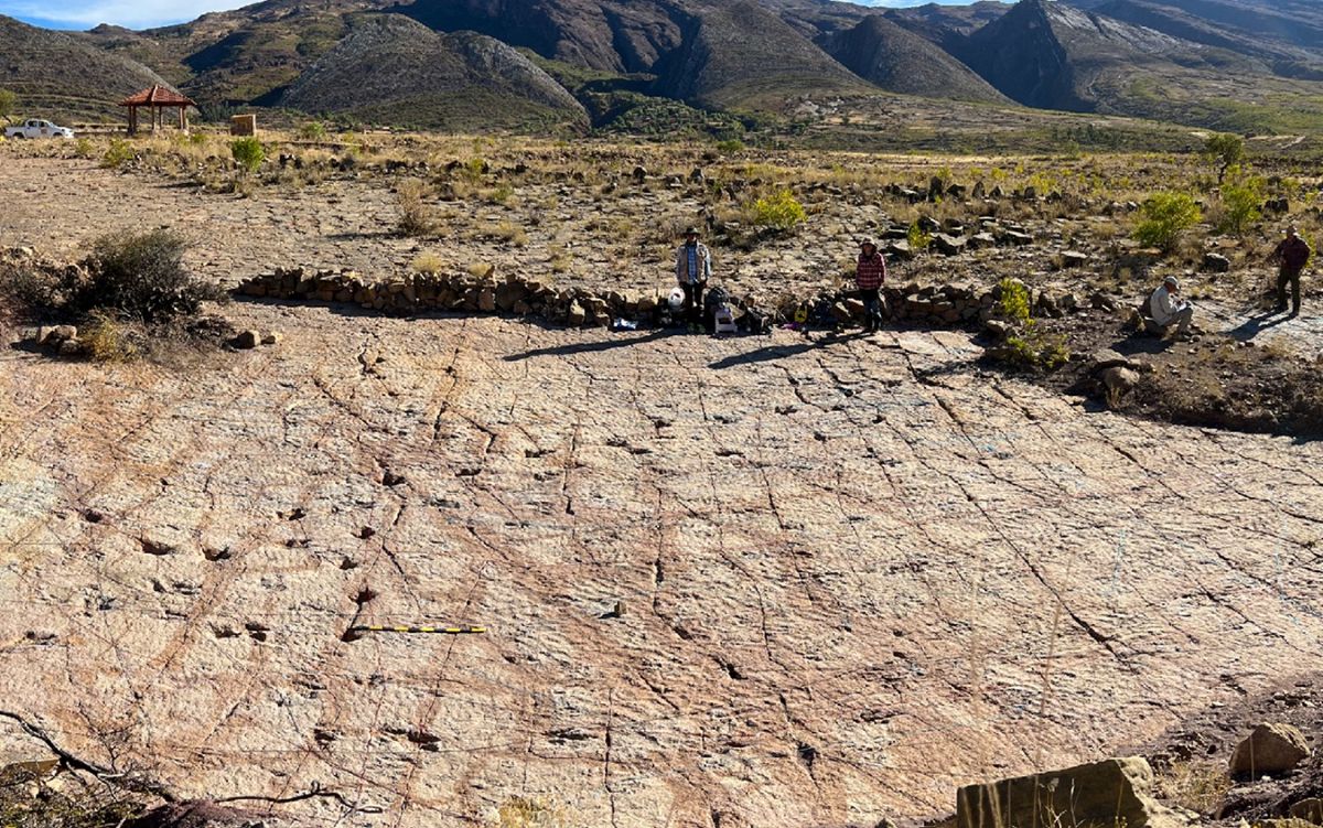 Один из участков раскопок. На поверхности можно увидеть рябь, характерную для озерного дна / ©  Raúl Esperante et al.