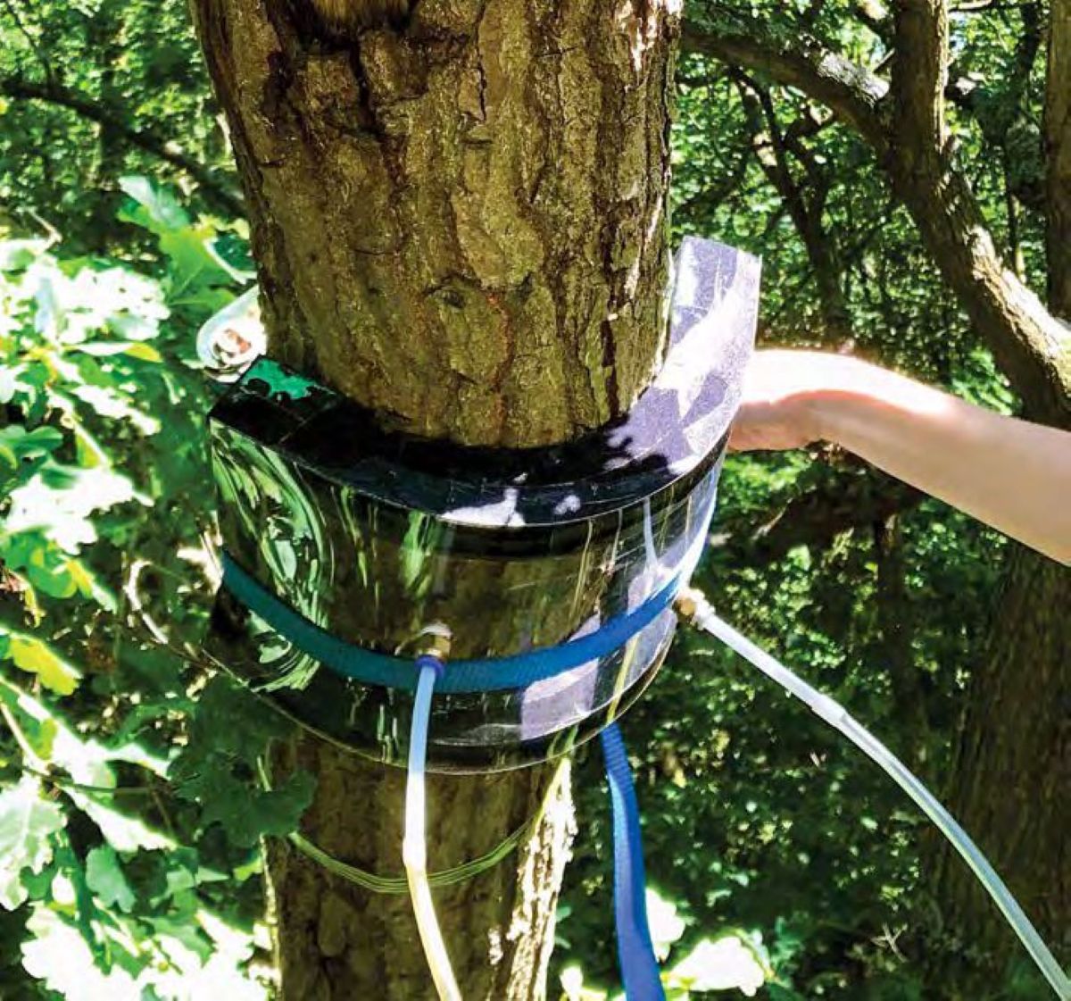 Герметичные камеры для изучения газообмена / © Vincent Gauci