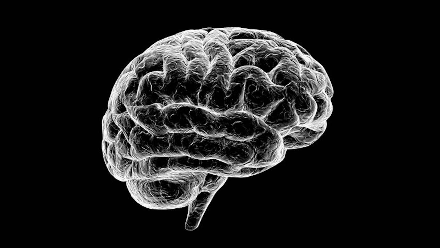 Иллюстрация мозга человека / © Peter Howell