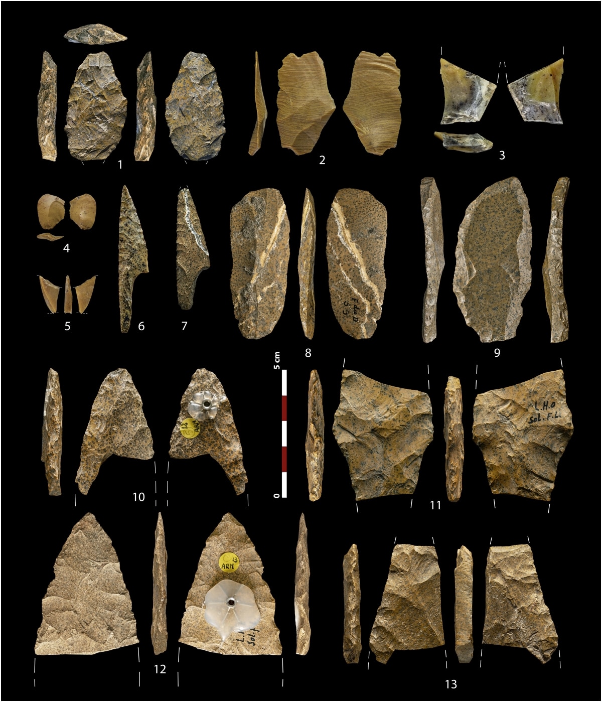 Каменные орудия из Испании и Франции / © Marta Sánchez de la Torre, Don Hitchcock, Thierry Aubry