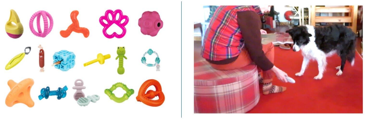 Слева: игрушки, использованные во время эксперимента. Справа: одна из одаренных собак играет со своим хозяином / © Andrea Sommese et al.