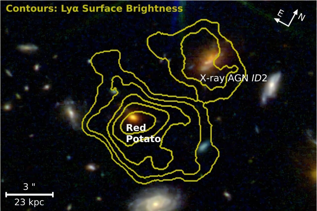 Галактика «Красная картошка», расположенная в структуре MQN01 и окружающее ее облако холодного газа / © arXiv (2026)
