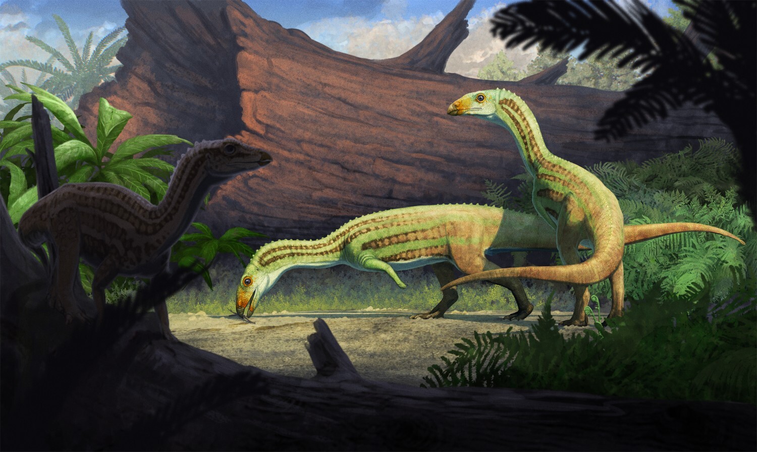 Реконструкция облика Sonselasuchus cedrus / © Gabriel Ugueto / Journal of Vertebrate Paleontology