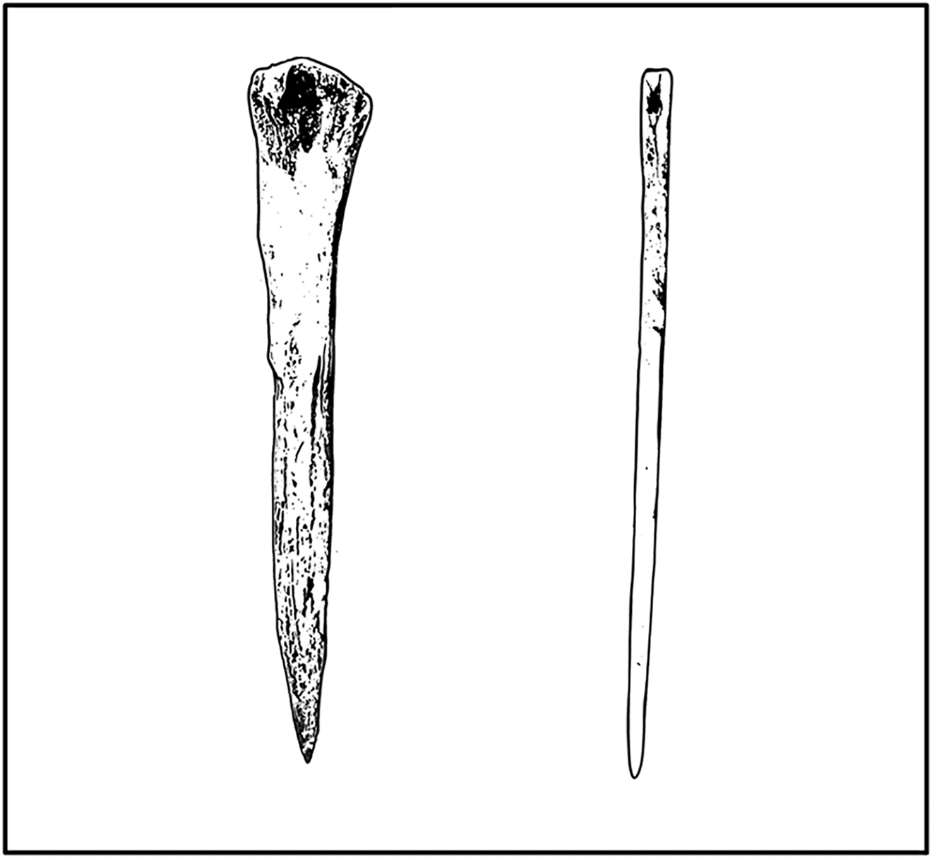 Иллюстрация костяных швейных игл, использованных древними людьми / © PLOS One