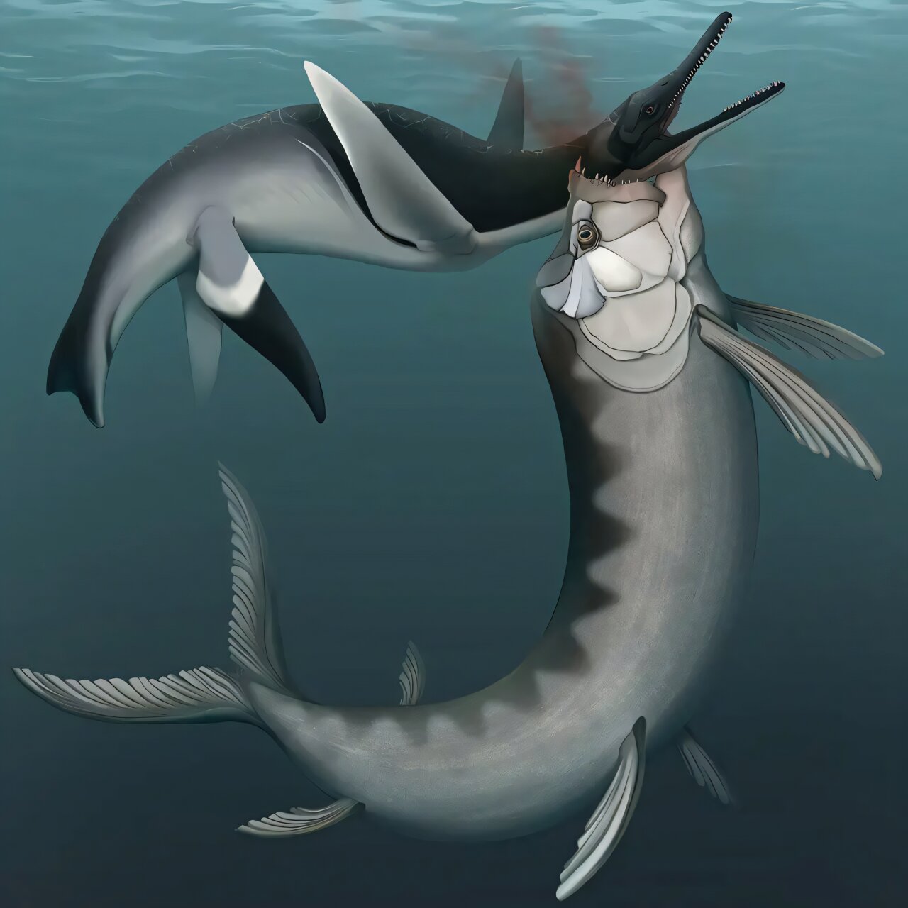 Реконструкция нападения ксифактина на плезиозавра / © Stephanie K. Drumheller et al., Journal of Vertebrate Paleontology, 2026