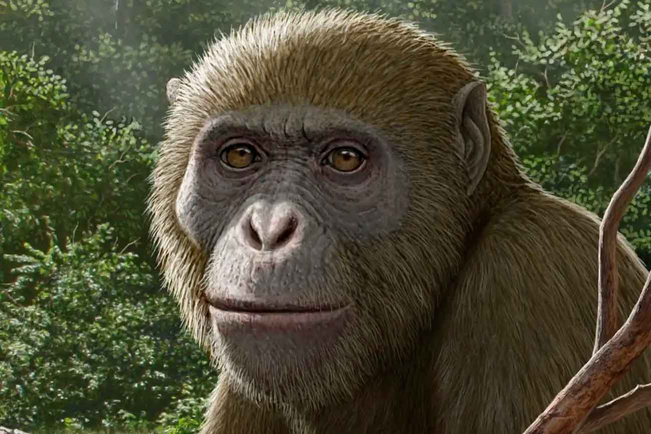 Masripithecus moghraensis в представлении художника / © Mauricio Antón/Professor Hesham Sallam