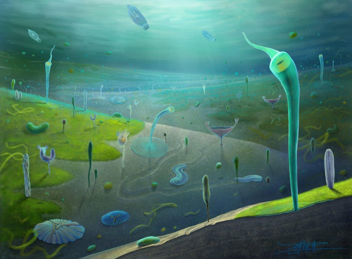 Реконструкция биоты Цзянчуань / © Xiaodong Wang / Science