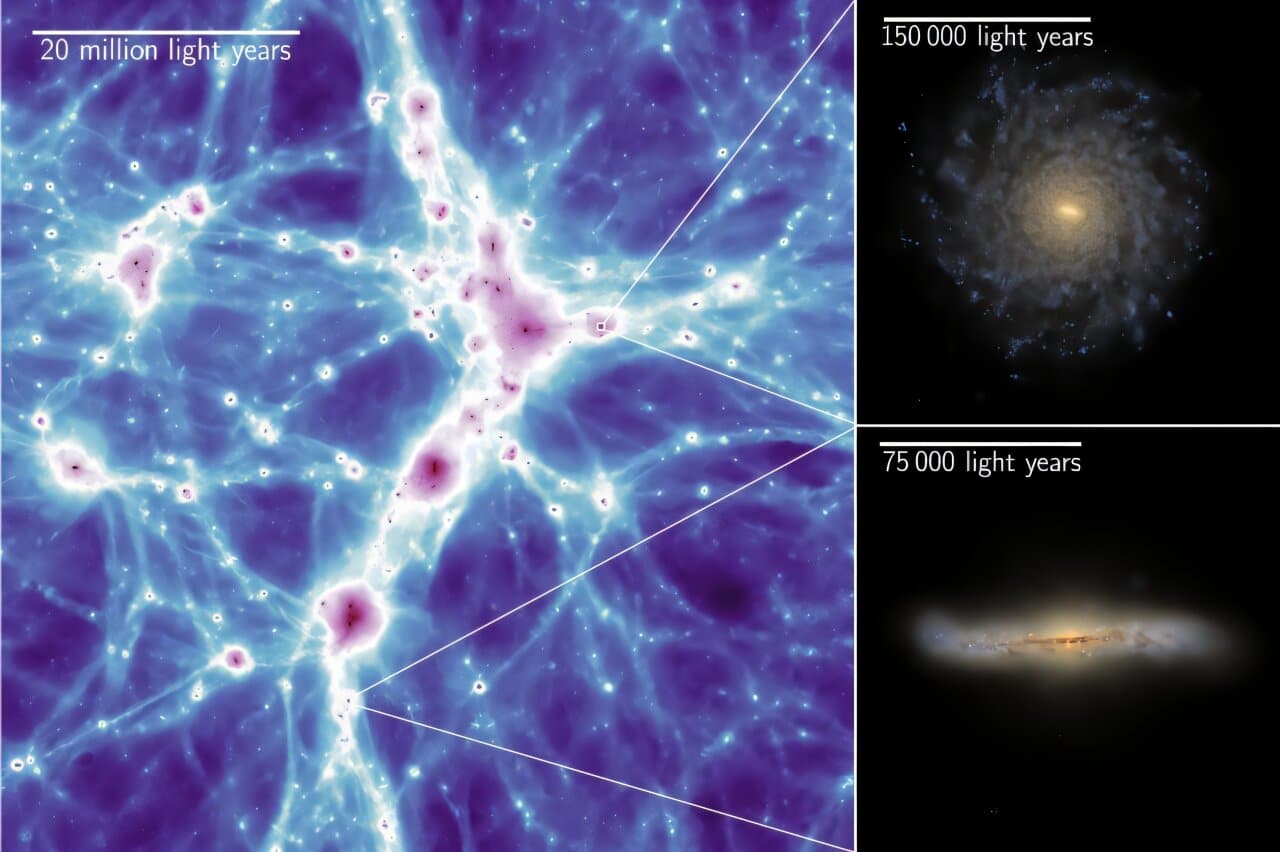 Слева — космическая паутина, где цвет соответствует прогнозируемой плотности газа и звезд. На двух панелях справа — две из множества галактик, сформированных в рамках моделирования.   / © Monthly Notices of the Royal Astronomical Society (2026).