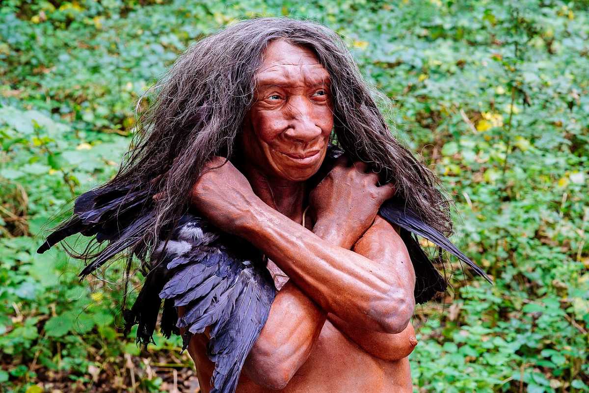 Реконструкция внешности неандертальца / © Neanderthal-Museum, Mettmann