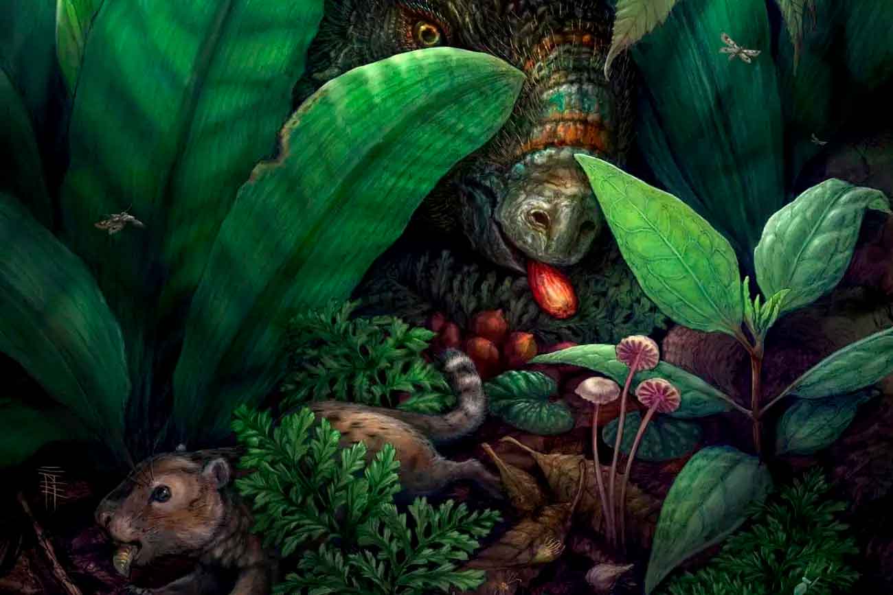 Цветковые растения и животные, которые могли разносить их семена. Представление художника / © Brian Engh