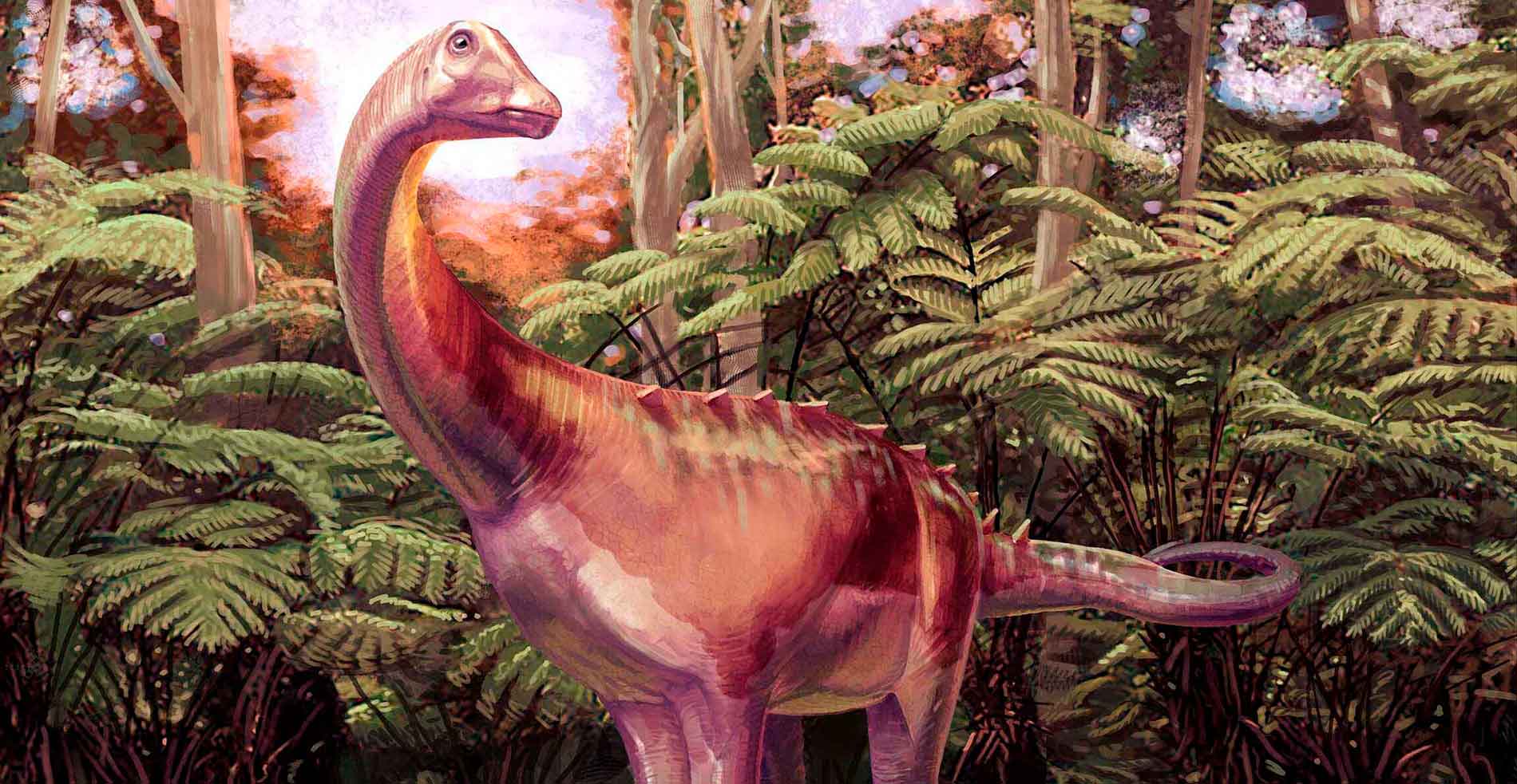 Динозавр Eutitanosauria indet. в представлении художника / © Museum of Natural History