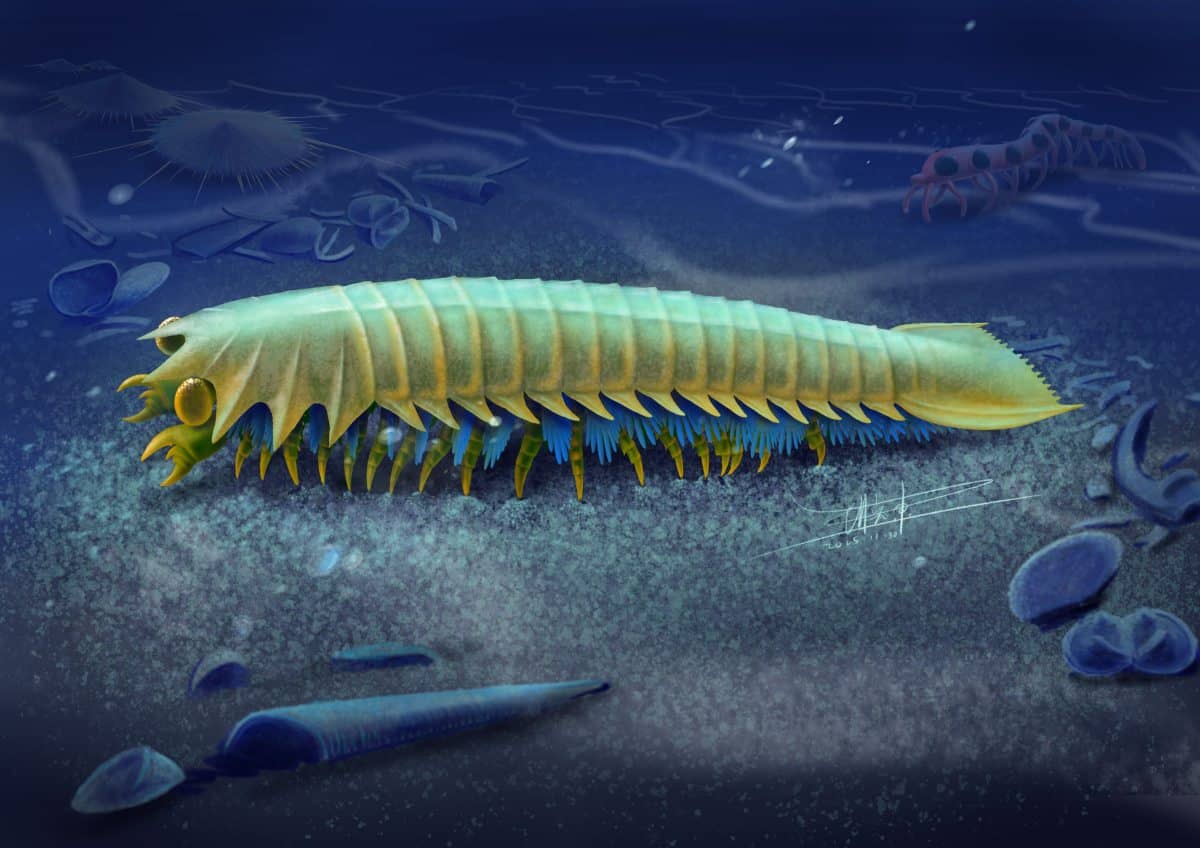Художественная реконструкция внешности урокодии / © Xiaodong Wang / phys.org