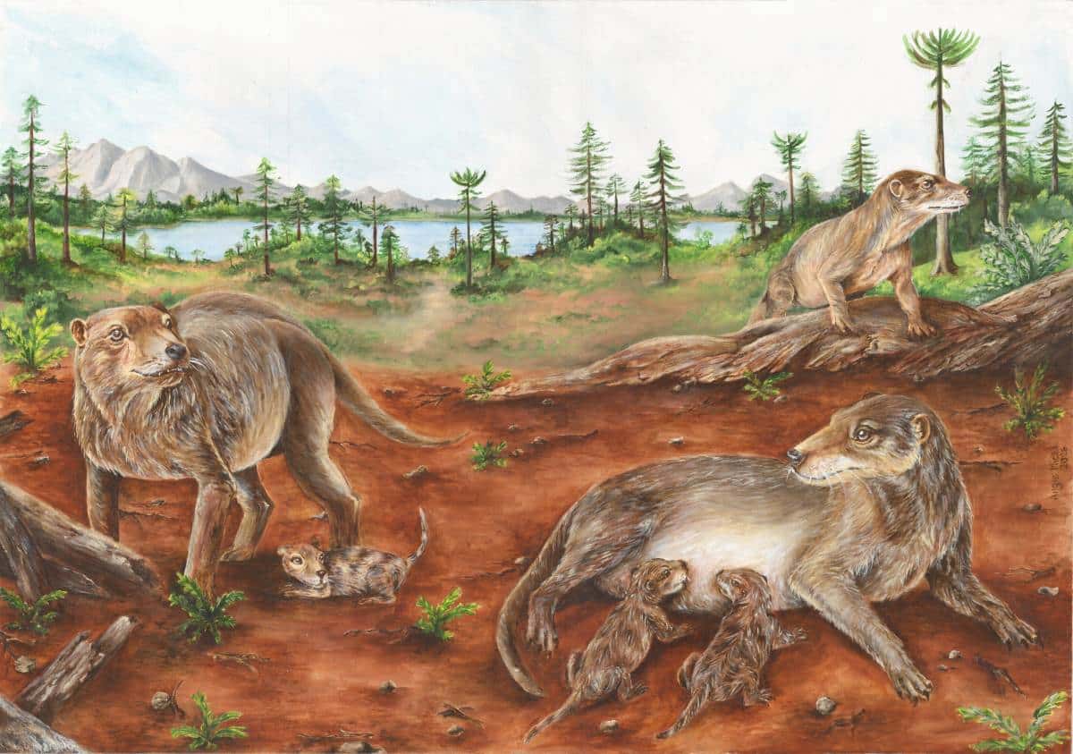 Художественная реконструкция семьи цинодонтов Chiniquodon theotonicus / © María de los Ángeles Miceli Baro / phys.org