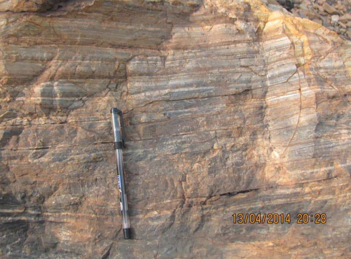 Фотография того самого черно-белого полосатого черта (black and white banded chert) из исследования / © Trisrota Chaudhuri / EurekAlert!